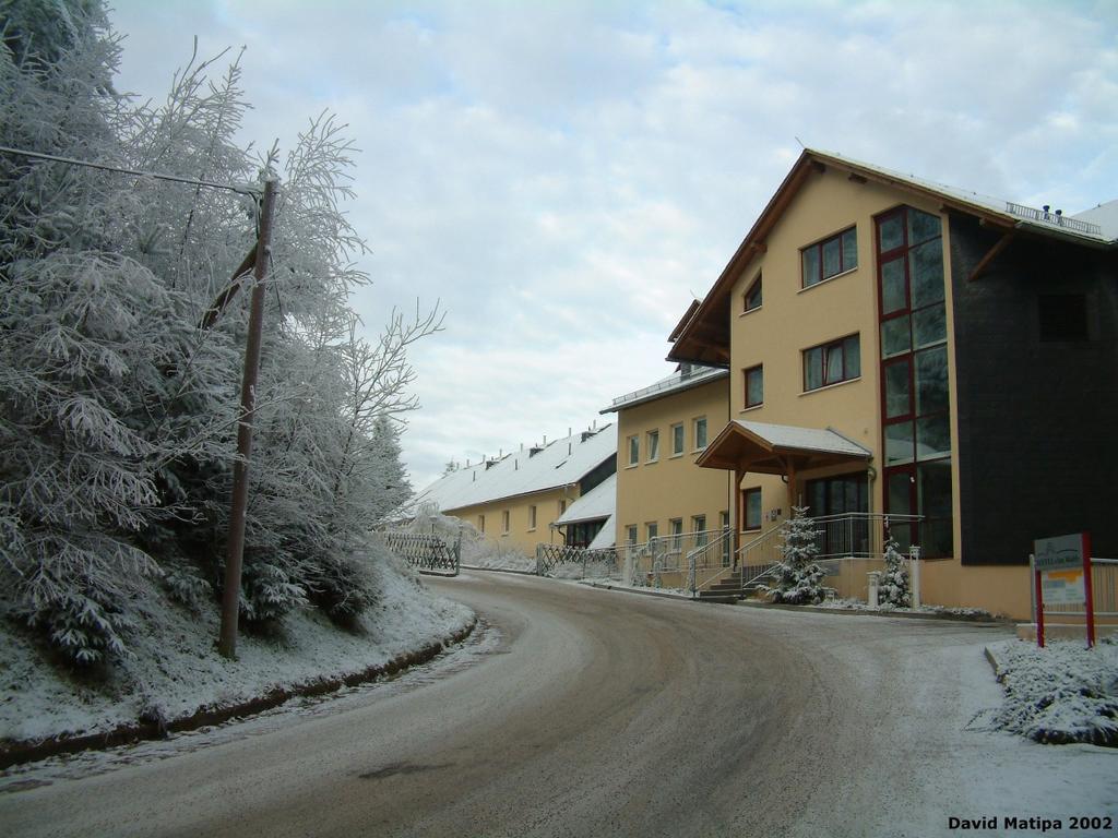 Hotel Am Wald -Garni- Elgersburg Exterior foto